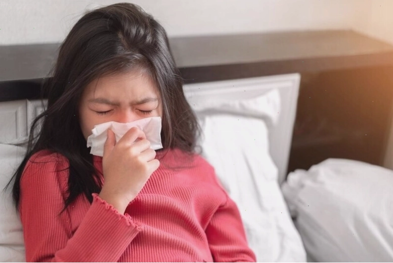 Hình ảnh minh họa tình trạng viêm nhiễm trong các xoang mũi