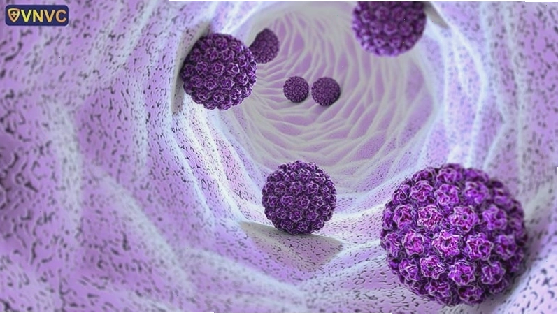 Hình ảnh minh họa virus HPV dưới kính hiển vi điện tử