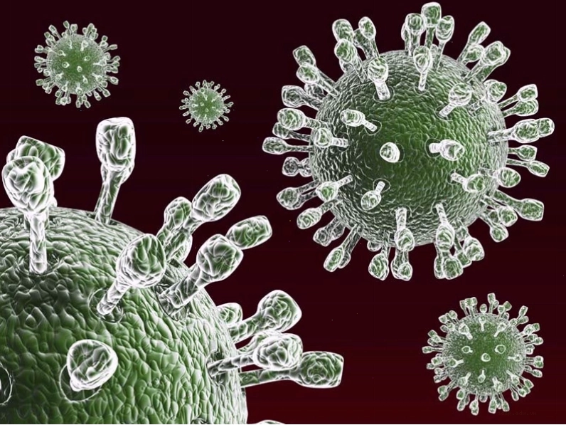 Hình ảnh mô phỏng cấu trúc virus Rota