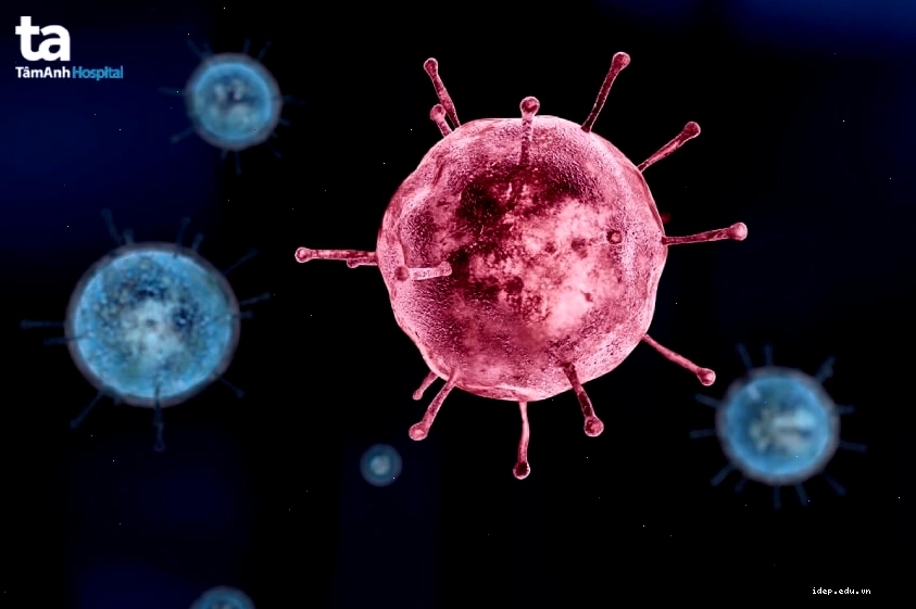 Hình ảnh virus cúm A, nguyên nhân chính gây ra bệnh cúm mùa