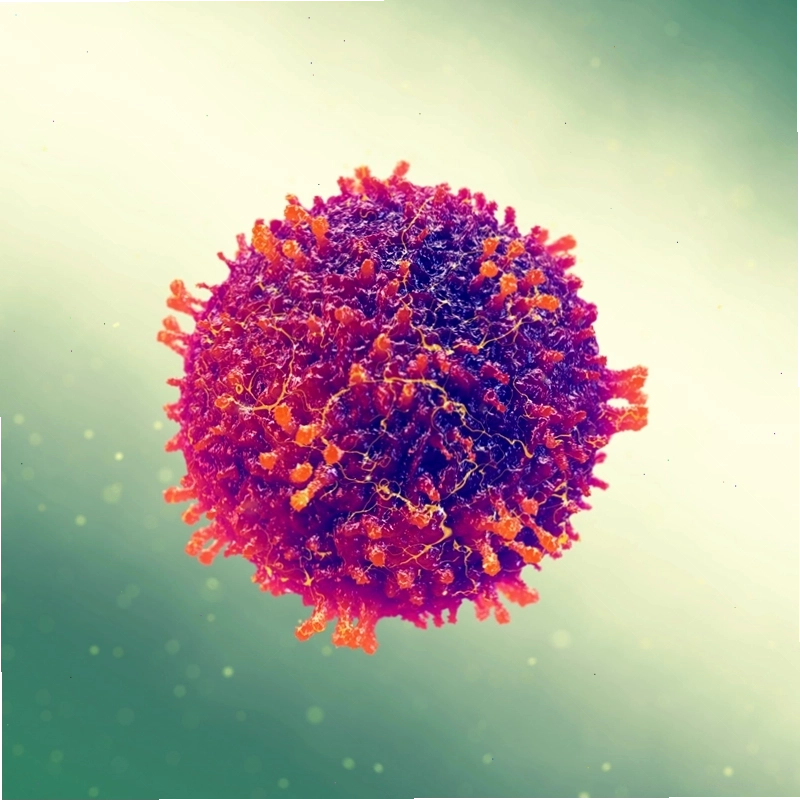 Hình ảnh virus gây bệnh HIV