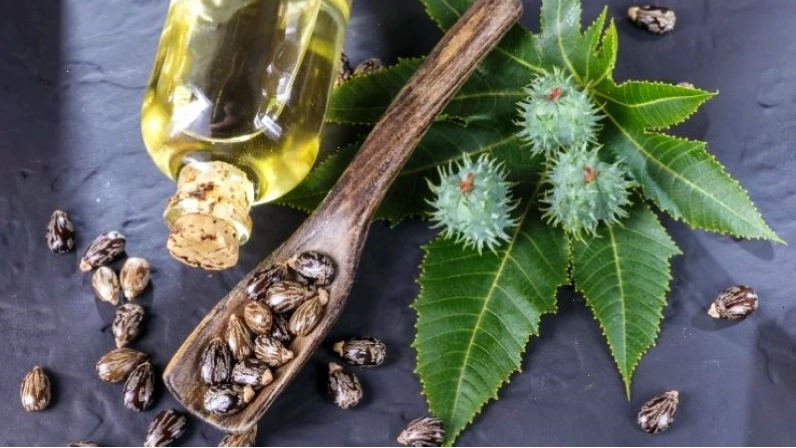 Mặt nạ sữa chua, dầu thầu dầu, dầu dừa và trứng giúp làm giảm rụng tóc