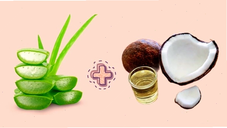 Mặt nạ ủ tóc từ nha đam và dầu dừa