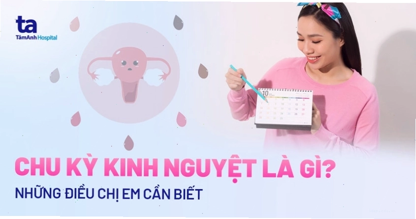 Minh họa chu kỳ kinh nguyệt đều đặn ở phụ nữ