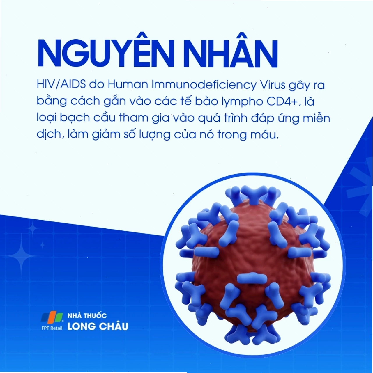 Nhà thuốc Long Châu