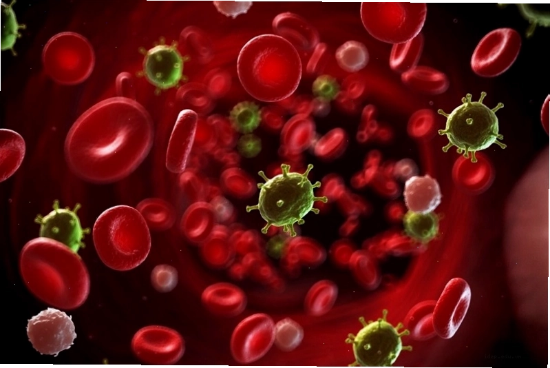 Nhiễm trùng huyết xảy ra khi vi khuẩn, virus xâm nhập vào máu
