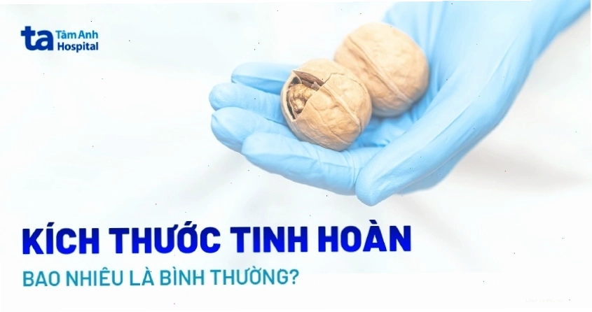 So sánh kích thước tinh hoàn bình thường và bị teo