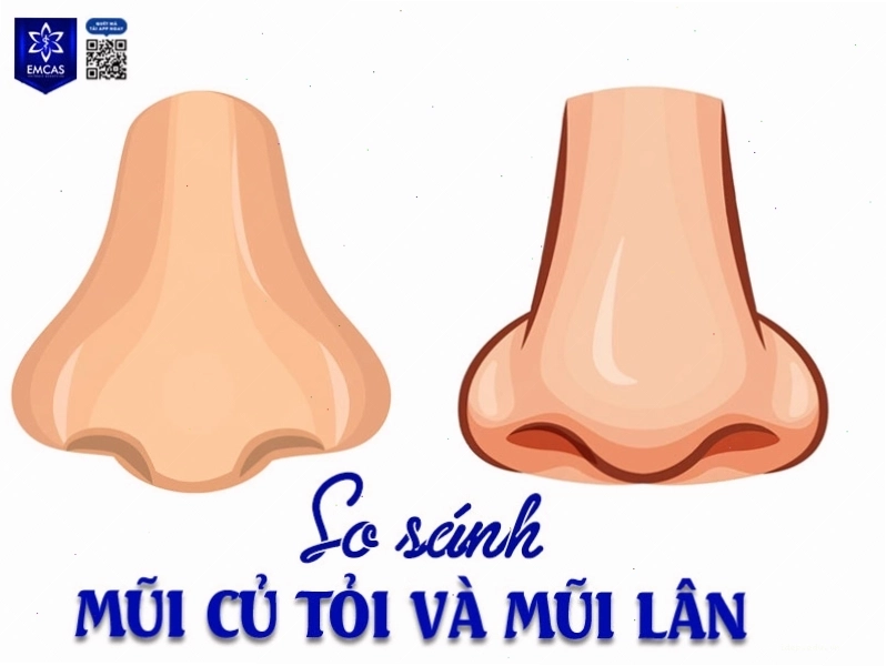So sánh mũi củ tỏi và mũi lân về đặc điểm nhận dạng
