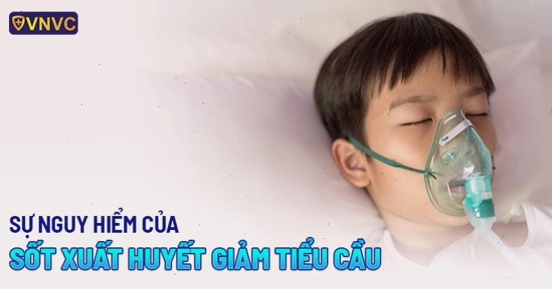 Sốt xuất huyết làm giảm tiểu cầu trong máu