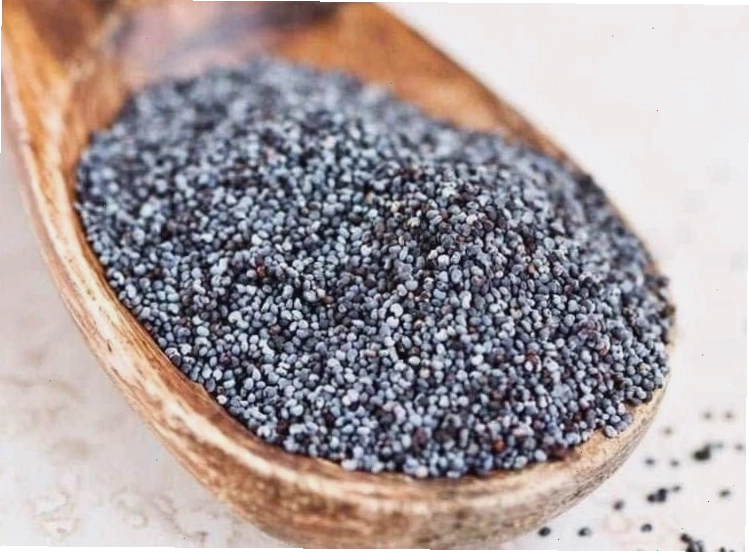 Thành phần dinh dưỡng đa dạng trong hạt poppy seed