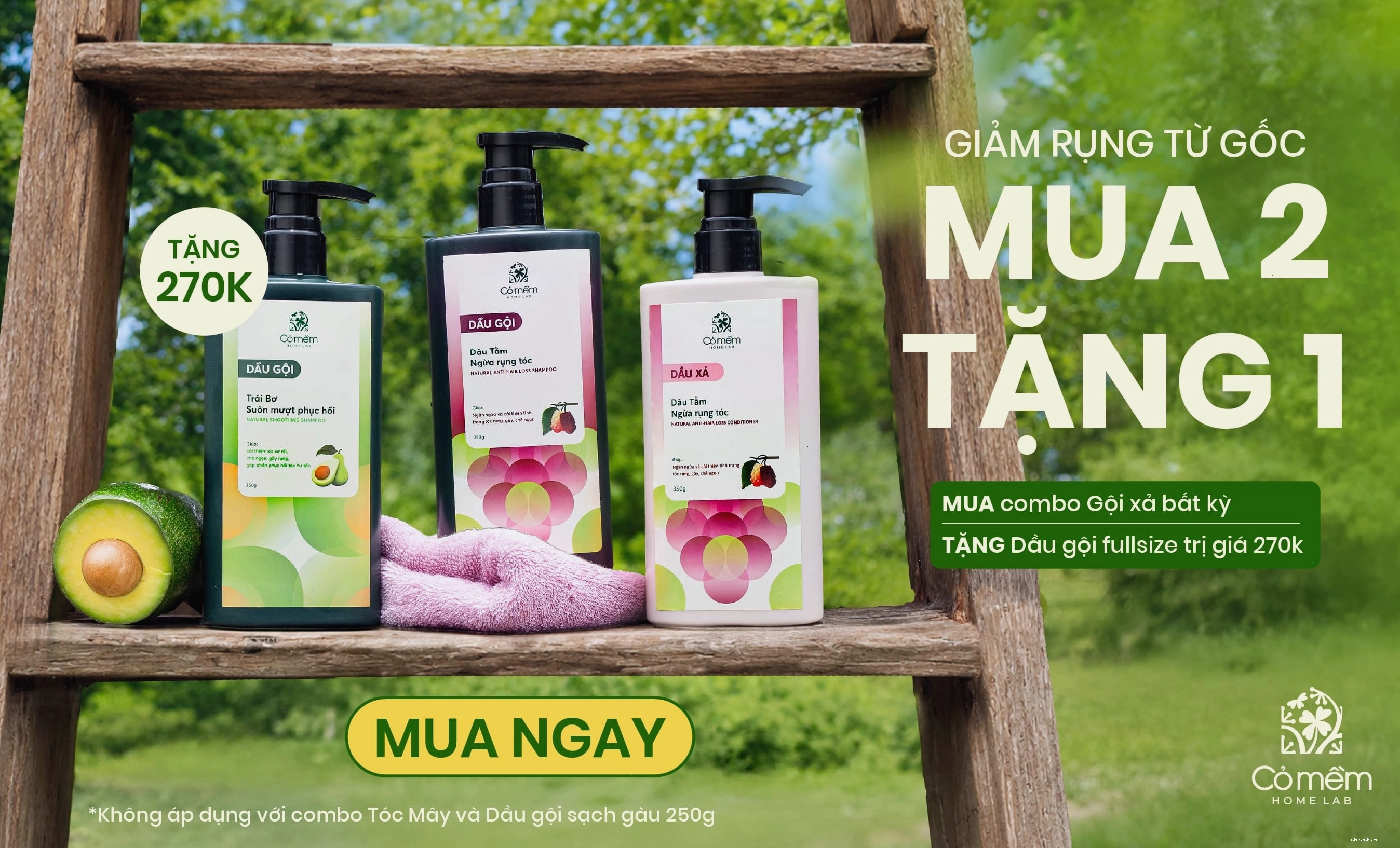 Tóc màu xám tro không cần tẩy tôn da