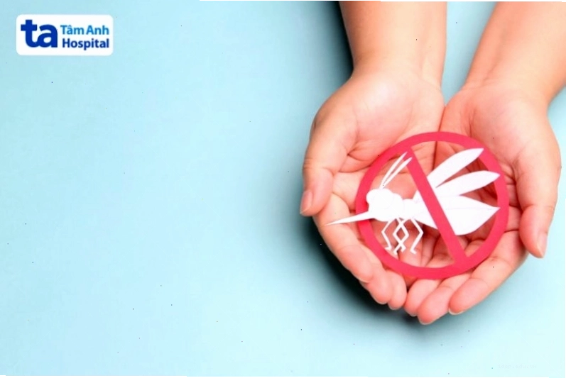 Tránh muỗi đốt để phòng sốt xuất huyết
