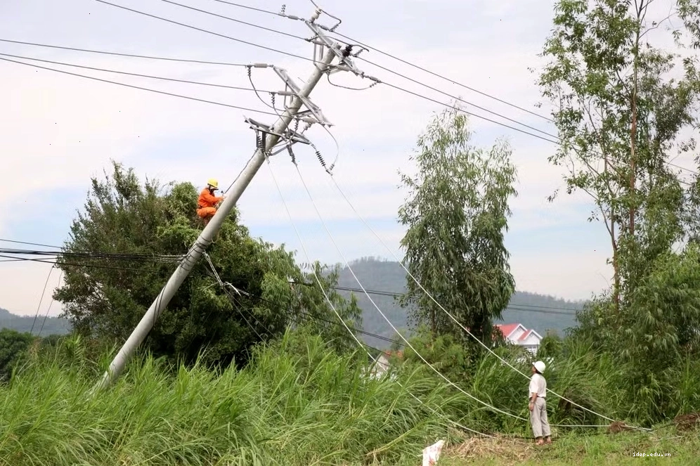 Các tàu cá neo đậu an toàn để tránh trú bão