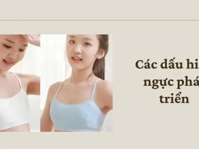 Nhận biết sớm dấu hiệu ngực phát triển ở thiếu nữ