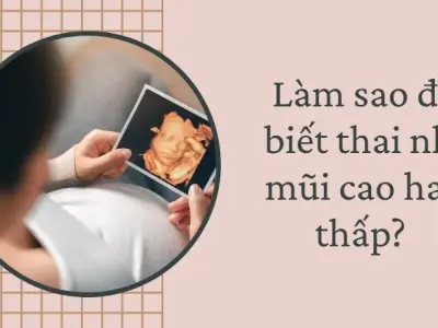 Mẹ bầu làm sao để biết thai nhi mũi cao hay thấp?