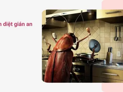 Bí kíp tôi đã diệt gián tận gốc cực kỳ đơn giản cho bạn ngay