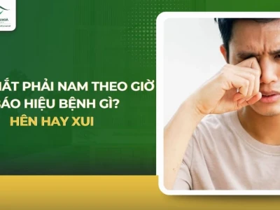Giật Mắt Phải Là Điềm Gì? Giải Mã Điềm Báo Xui Hay Hên 2026