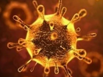 HIV/AIDS là gì? Hiểu rõ về căn bệnh thế kỷ và cách phòng tránh