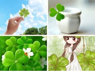 Khám phá vẻ đẹp và ý nghĩa avatar cỏ 4 lá may mắn 2026
