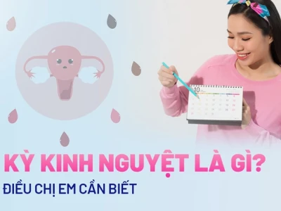 Kỳ Kinh Nguyệt Là Gì? Tổng Quan Kiến Thức Cần Biết
