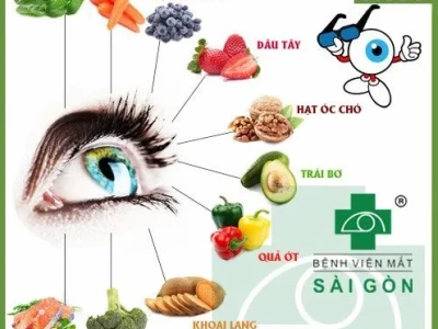 Những Thực Phẩm Tốt Cho Mắt Giúp Cải Thiện Thị Lực Toàn Diện