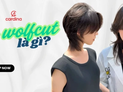 Tóc Wolf Cut: Khám Phá Xu Hướng "Hoang Dã" Độc Đáo Cho Năm 2026
